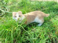 /album/fotogaleria/maria-antonia-jpg/